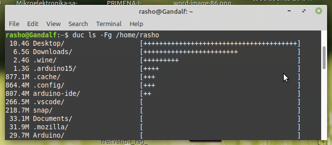 Visualize disk usage using "duc ls" command